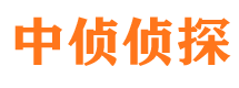 东乡族市调查公司